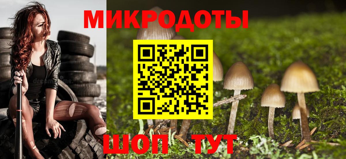 Галлюциногенные грибы Cubensis Гудермес