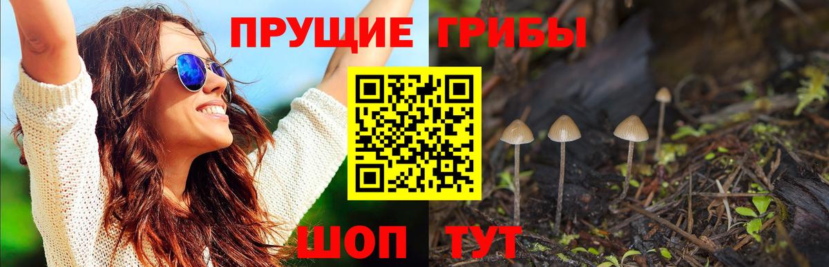 Гудермес  Галлюциногенные грибы мицелий  Вход с VPN 